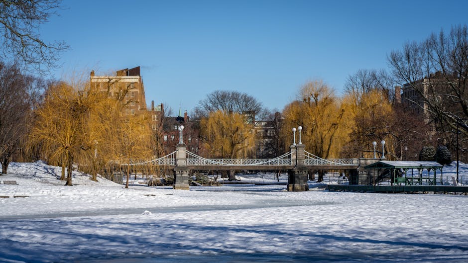 A snowy scene featuring a grey stone and metal suspension bridge with decorative lamp posts spanning across a frozen body of water in a park. Behind the bridge, there are several leafless and yellow-leafed trees, indicating winter or early spring, with residential buildings visible in the background. The clear blue sky and sunlight casting shadows on the snow create a bright, crisp atmosphere. Although no house removals or packing activities are visible, the image captures an outdoor environment related to moving logistics, possibly representing the exterior environment connected to [PAGE_TITLE] from Boston Manor Park to West Ealing, HANWELL, serviced by Man with Van Hanwell.