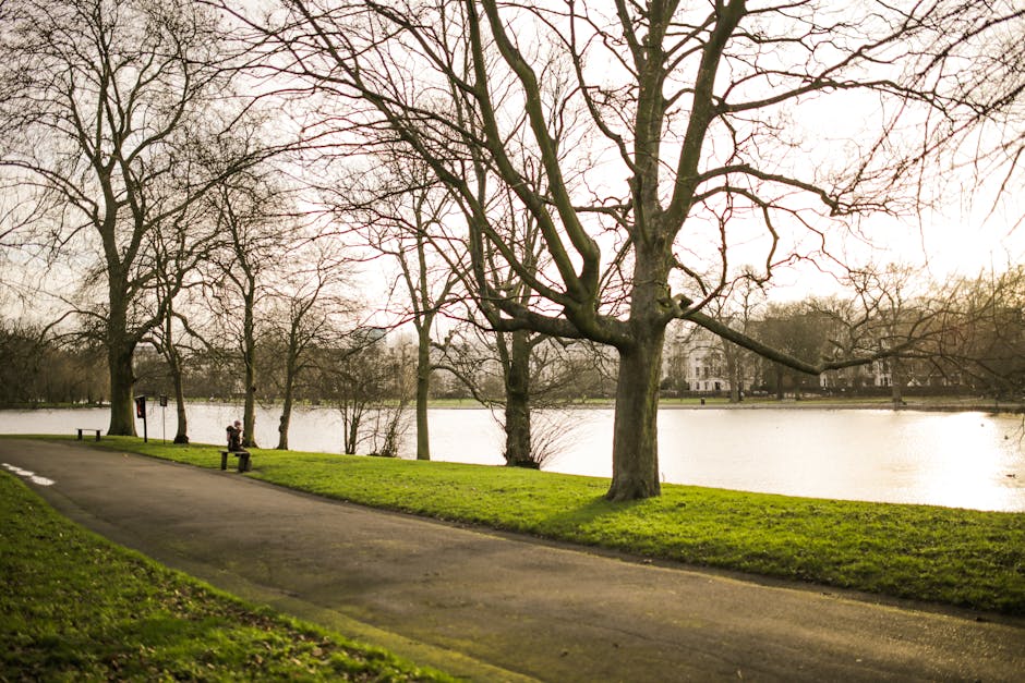 A paved walkway runs alongside a body of water, bordered by a strip of vibrant green grass. Several tall, leafless trees with gnarled branches line the pathway, their silhouettes contrasting against the cloudy, overcast sky. In the distance, a person wearing dark clothing is seated on a bench, visible on the grassy area near the water's edge. The water appears calm, reflecting the muted light from the sky. On the far side of the water, residential buildings with white facades are partially obscured by trees. This outdoor scene captures a peaceful park setting, typical of a location where home relocation or moving companies like Man with Van Hanwell might operate during outdoor logistics or loading stages, although no vehicles or moving activities are visible in the image.