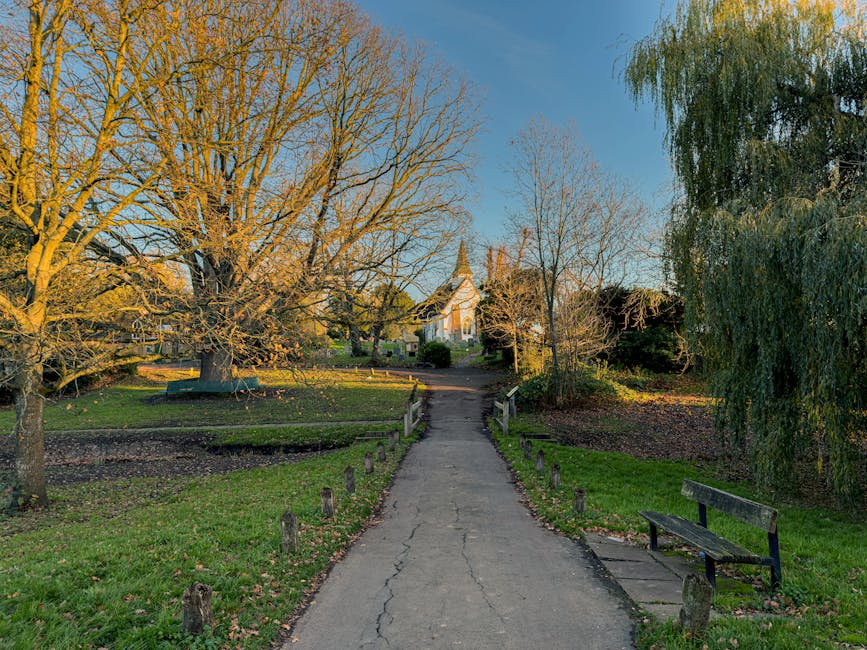 A snowy scene featuring a grey stone and metal suspension bridge with decorative lamp posts spanning across a frozen body of water in a park. Behind the bridge, there are several leafless and yellow-leafed trees, indicating winter or early spring, with residential buildings visible in the background. The clear blue sky and sunlight casting shadows on the snow create a bright, crisp atmosphere. Although no house removals or packing activities are visible, the image captures an outdoor environment related to moving logistics, possibly representing the exterior environment connected to [PAGE_TITLE] from Boston Manor Park to West Ealing, HANWELL, serviced by Man with Van Hanwell.